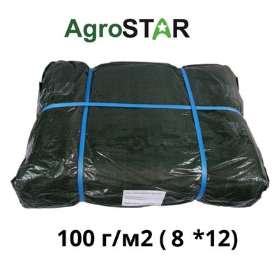 Тент універсальний"AgroStar" 100(8*12)зел